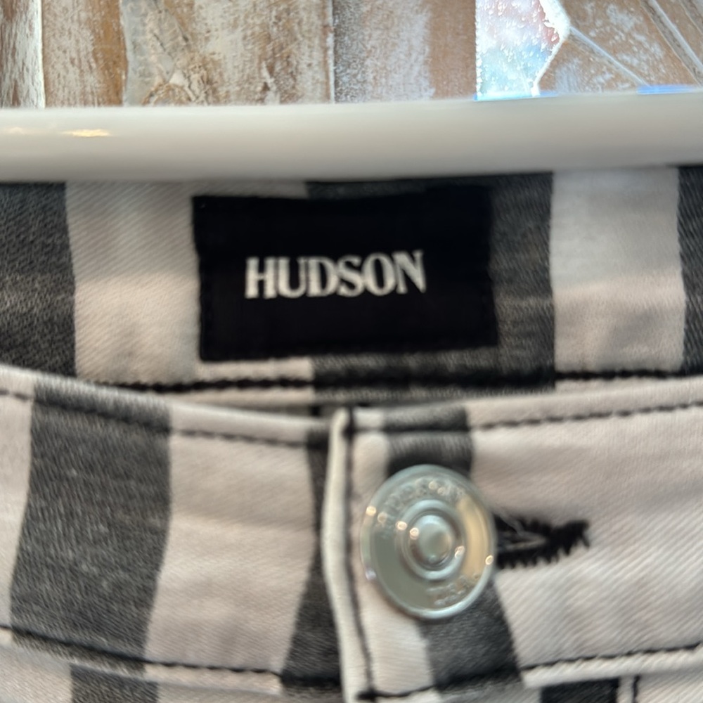 Hudson - Picture 4 of 4